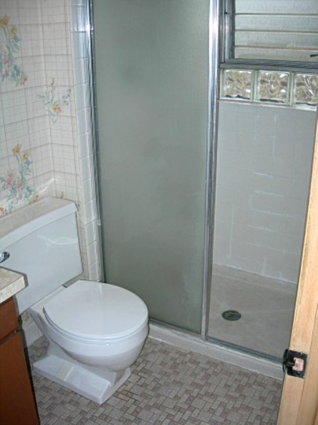 Shower before renovation