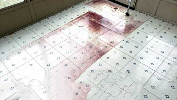 Old floor in the sunroom.jpg