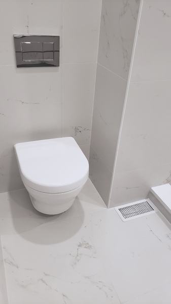 Wall mounted toilet.jpg