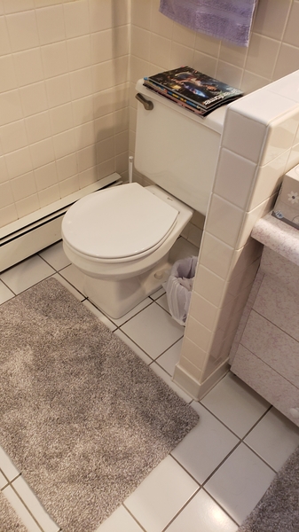 Bathroom before renovation